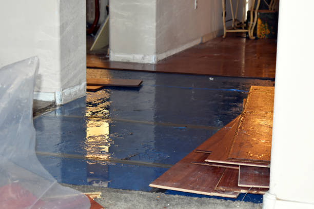 Professional Basement Flood Cleanup technician working in Arlington, WA
